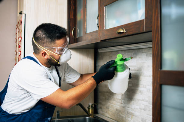 Best Exterminator Services  in Seeley, CA