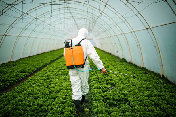 Best Best Pest Control Companies  in Seeley, CA
