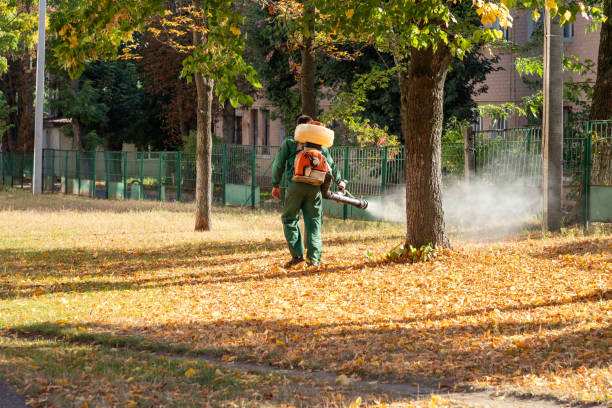 Best Ant Control Services  in Seeley, CA