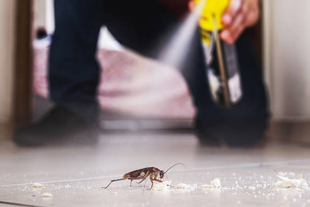 Best Cockroach Control Services  in Seeley, CA