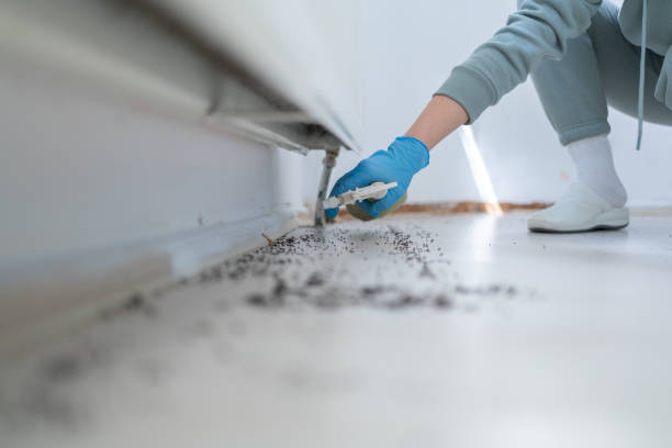 Best Pest Control for Restaurants  in Seeley, CA