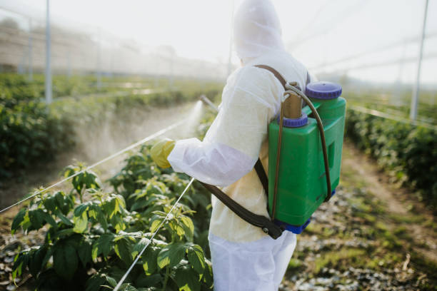 Best Pest Prevention Services  in Seeley, CA